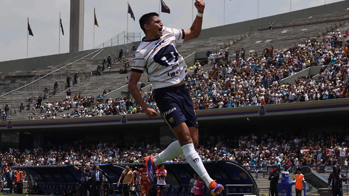 pumas en CU CUARTOSCURO